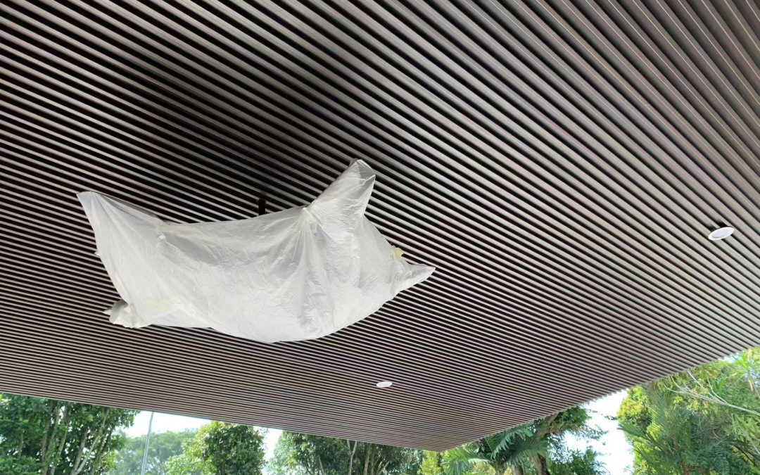 Shelter